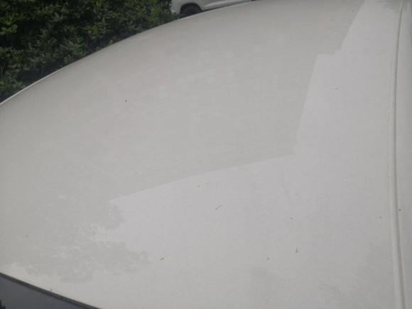 [金华·浙G] 二手大众甲壳虫2013款 1.2TSI 时尚型