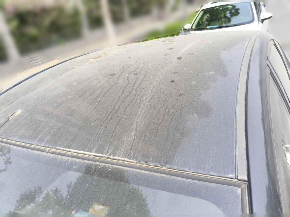 [济南·浙B] 二手丰田普锐斯2006款 1.5L 真皮导航版