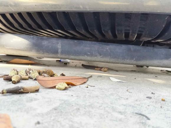 [上海·鲁D] 二手奔驰奔驰C级2021款 C 260 L 运动版