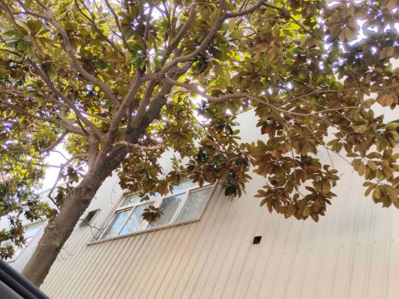 [上海·沪A] 二手保时捷Macan2016款 Macan S 3.0T