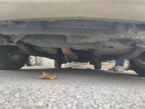 [南京·苏A] 二手丰田普瑞维亚2004款 2.4L AT