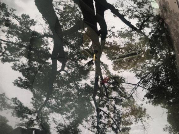 [上海·豫Q] 二手长安逸动2014款 1.6L 手动尊贵型