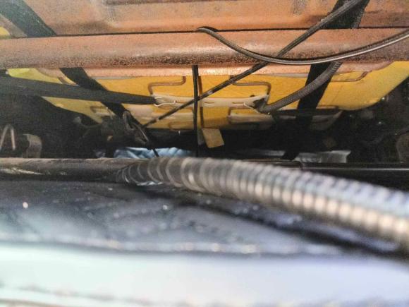 [青岛·鲁B] 二手福特嘉年华2013款 两厢 1.5L 自动时尚型