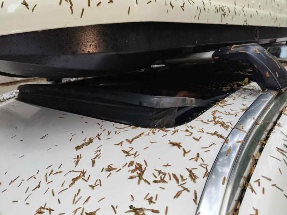 [成都·川A] 二手宝马宝马X32016款 sDrive20i