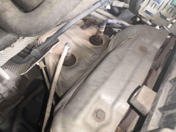 [常州·苏D] 二手福特福克斯2012款 两厢 1.6L 手动舒适型