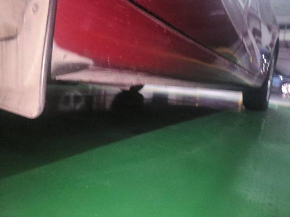 [杭州·浙B] 二手日产骐达TIIDA2021款 1.6L CVT智行版