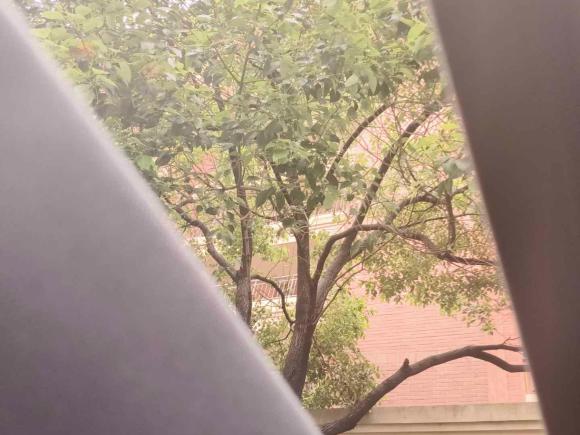 [杭州·浙B] 二手名爵MG62021款 Pro 1.5T 自动Trophy旗舰版