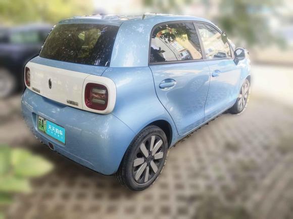 [南京·苏A] 二手欧拉欧拉黑猫2021款 351km 标准型