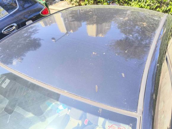 [合肥·皖A] 二手丰田花冠2011款 1.6L 手动经典版