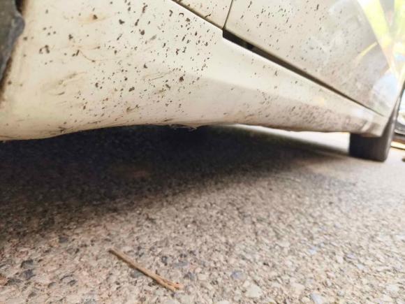 [苏州·粤S] 二手福特蒙迪欧2017款 EcoBoost 180 时尚型