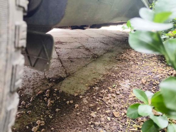 [济南·鲁A] 二手福特锐界2016款 EcoBoost 245 四驱豪锐型 7座