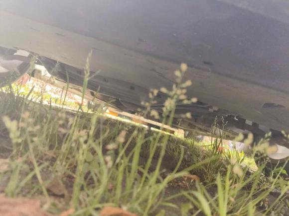 [武汉·鄂A] 二手福特Mustang2019款 2.3L EcoBoost