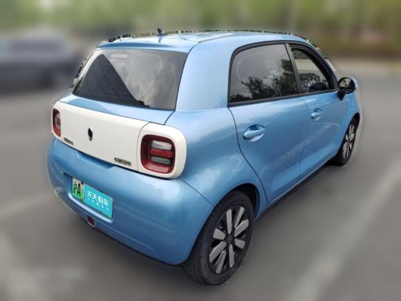 [上海·沪A] 二手欧拉欧拉黑猫2019款 351km 灵智版