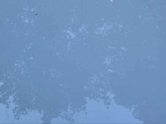 [北京·京N] 二手斯柯达明锐2016款 1.6L 自动前行版