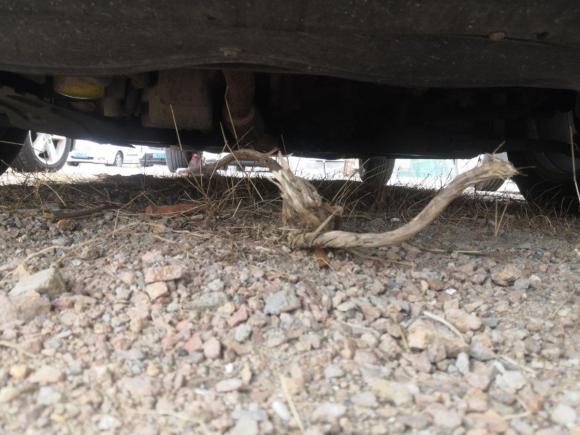 [青岛·桂B] 二手名爵名爵32014款 1.5L AMT精英版