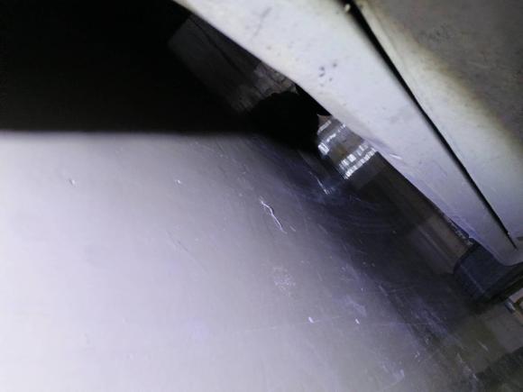 [杭州·浙A] 二手菲亚特致悦2014款 1.4T 自动舒适版