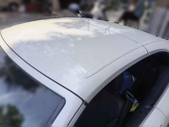 [南京·苏A] 二手宝马宝马4系2016款 420i 敞篷时尚型