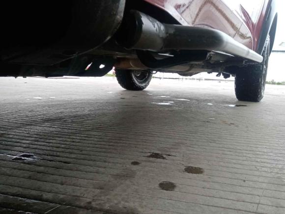 [佛山·川Y] 二手长城炮2019款 2.0T自动汽油四驱尊享版GW4C20B