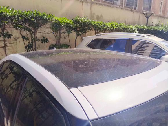 [上海·沪A] 二手Polestar极星Polestar 22020款 首发版