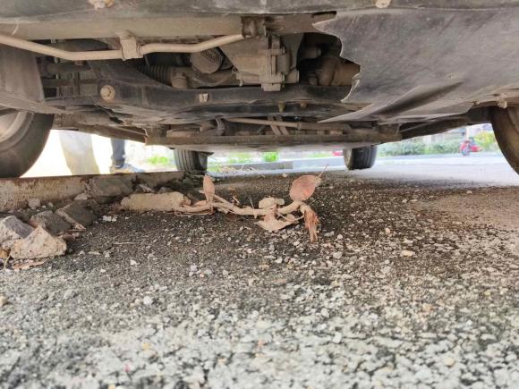 [南通·苏F] 二手比亚迪比亚迪e22019款 高续航版 耀·豪华型