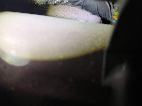 [成都·川A] 二手DSDS 5LS2014款 1.6T 豪华版THP160