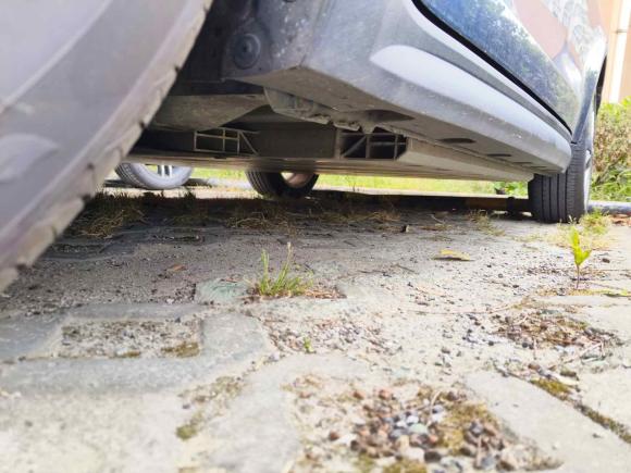 [上海·沪A] 二手欧拉欧拉好猫2021款 500km长续航 波塞冬版 三元锂