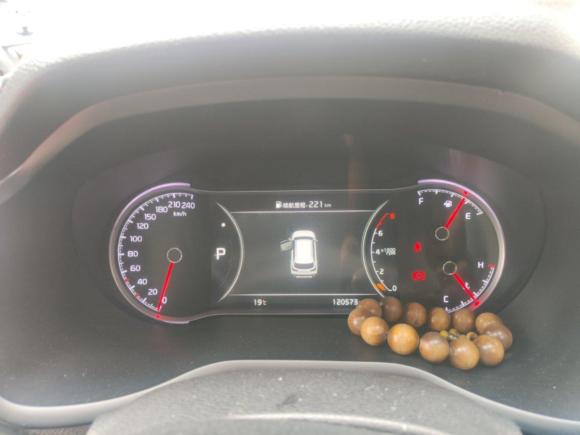 [上海·沪A] 二手起亚智跑2019款 1.4T DCT智享豪华版GLS