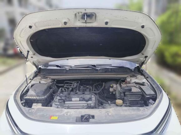 [上海·沪C] 二手新宝骏宝骏RC-52020款 1.5L 手动智耀豪华型