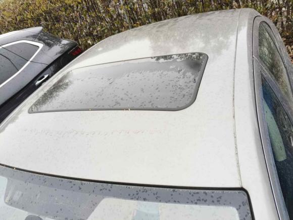 [湖州·浙E] 二手斯柯达明锐2012款 1.6L 自动逸俊版