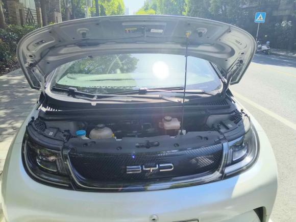 [无锡·苏B] 二手比亚迪海豚2021款 405km 时尚版