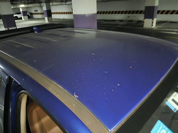 [成都·渝A] 二手长城炮2019款 2.0T商用版手动柴油四驱精英型长箱GW4D20M