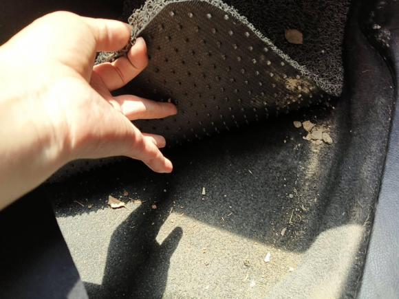 [常州·苏D] 二手斯巴鲁森林人2013款 2.5i 自动豪华版