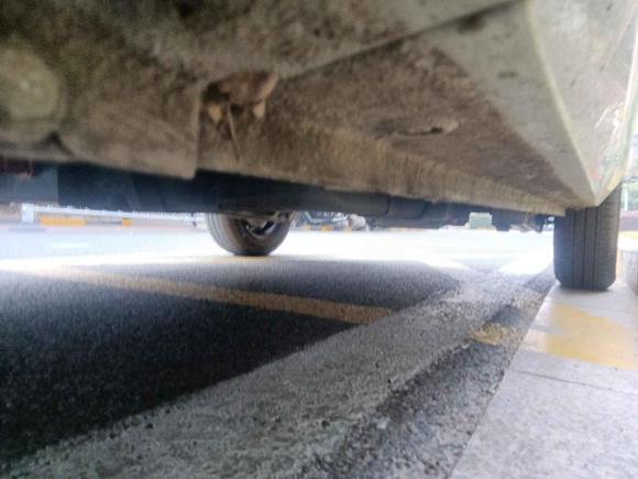 [苏州·苏E] 二手五菱汽车宏光MINIEV2021款 马卡龙臻享款 磷酸铁锂