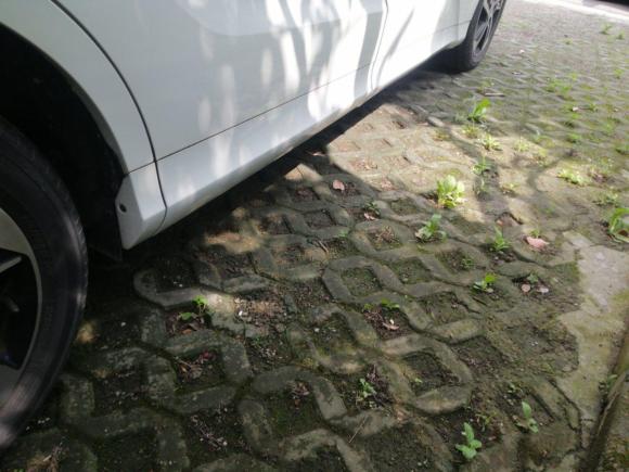 [上海·沪C] 二手本田奥德赛2015款 改款 2.4L 豪华版