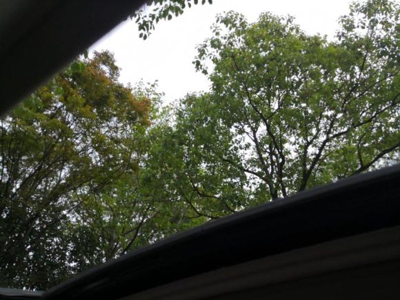 [上海·闽D] 二手福特致胜2013款 2.3L 时尚型