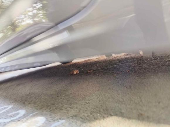 [青岛·鲁B] 二手丰田卡罗拉2021款 1.2T S-CVT先锋PLUS版