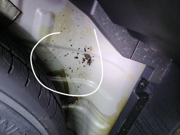 [成都·川A] 二手名爵锐腾2017款 20T 自动尊享版