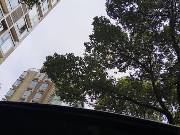 [南京·苏A] 二手凯迪拉克凯迪拉克XT62021款 2.0T 六座四驱豪华型