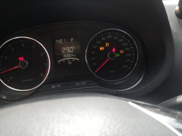 [上海·沪C] 二手大众Polo2014款 1.6L Cross Polo 自动