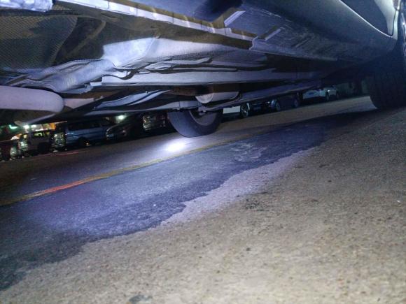 [佛山·粤X] 二手福特翼搏2016款 1.5L 自动运动典藏版