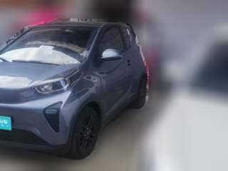 奇瑞新能源小蚂蚁2024款 321km 钟爱版