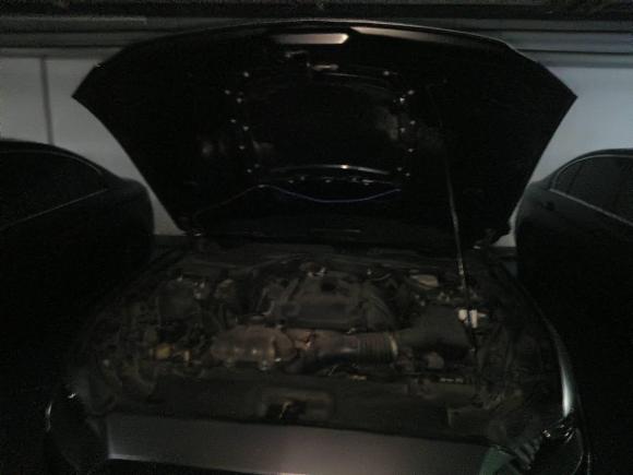 [杭州·浙B] 二手福特Mustang2017款 2.3T 性能版