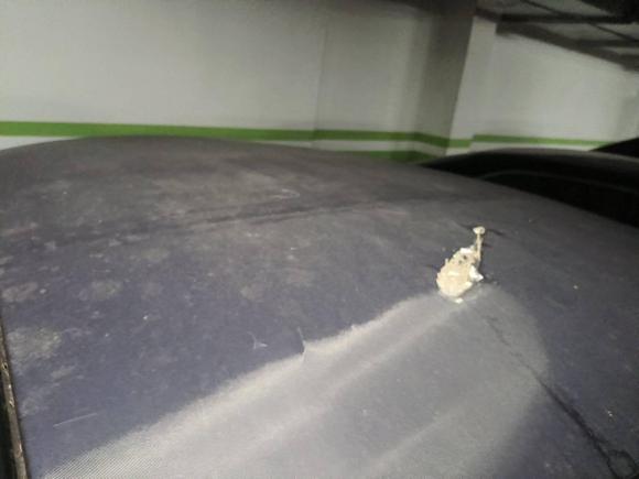 [温州·浙C] 二手smartsmart fortwo2015款 1.0L 52千瓦硬顶灵动版