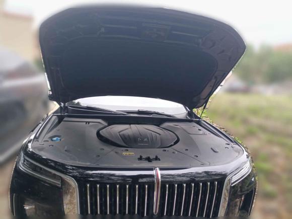 [佛山·粤E] 二手红旗红旗H92020款 2.0T 智联旗享版