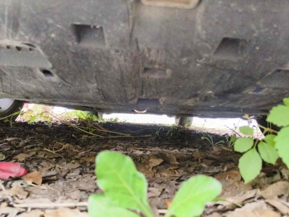 [上海·浙F] 二手雪铁龙雪铁龙C4L2014款 1.6THP 智驱版 自动劲智型