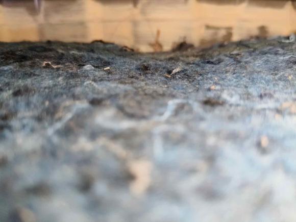 [宁波·浙B] 二手比亚迪宋PLUS新能源2021款 DM-i 110KM 旗舰PLUS