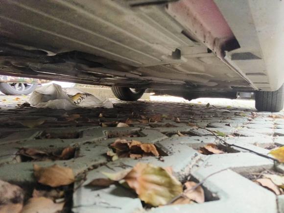 [上海·苏F] 二手福特福克斯2012款 两厢 1.6L 自动风尚型