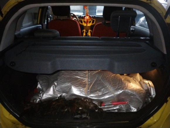 [佛山·粤E] 二手福特嘉年华2011款 两厢 1.5L 自动运动型