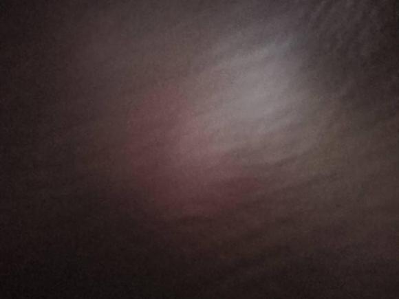 [上海·豫N] 二手东风小康东风小康D512019款 1.5L改款基本型后双轮国VI DK15