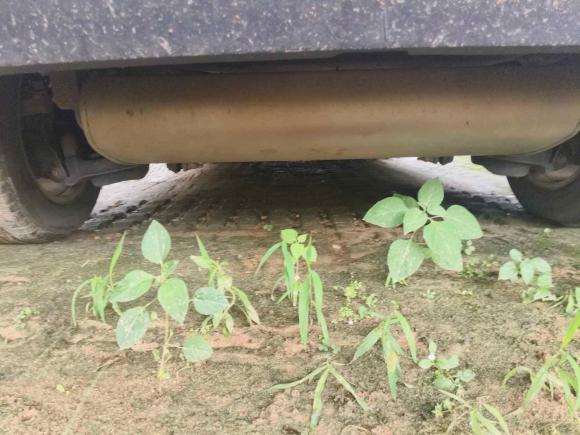 [南昌·赣M] 二手福特福克斯2012款 三厢 1.6L 自动舒适型